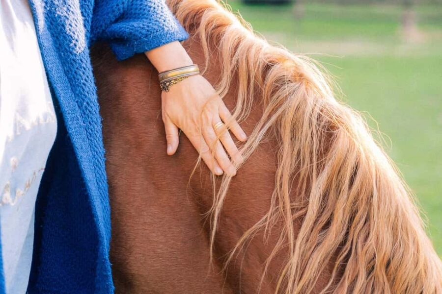 Equicoaching - experience the connection with horses in Normandy - Exploring Normandy’s Natural Setting for Equicoaching