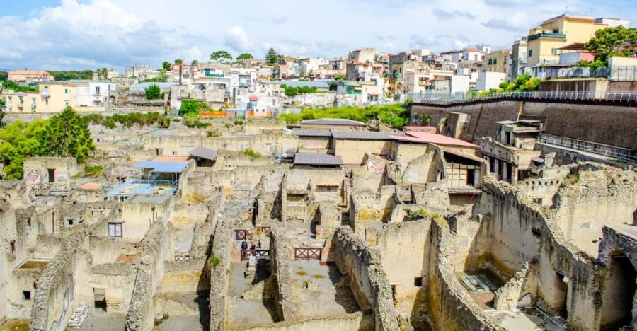 Ercolano: Herculaneum Entry Ticket with Optional Audio Guide - The Convenience and Flexibility of the Ticket and Audio Guide