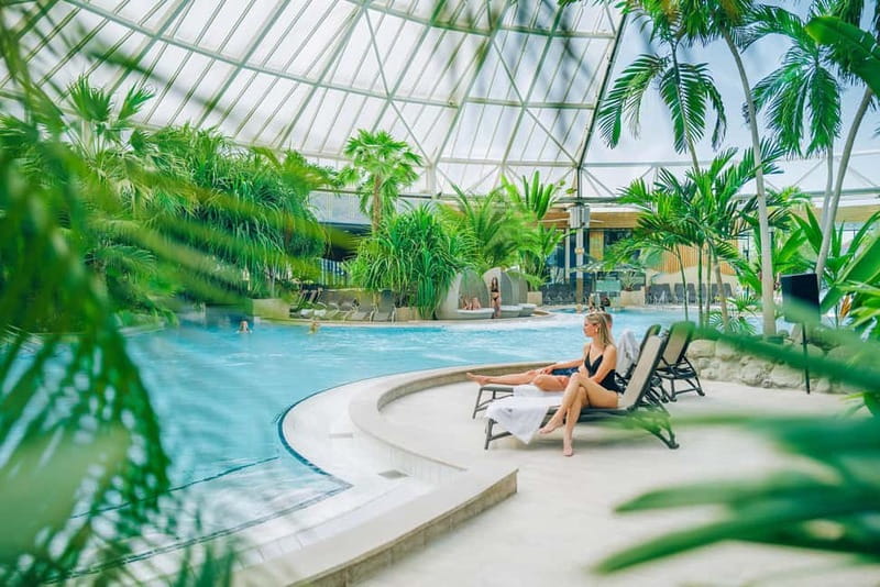 Erding: 1-Day Spa Ticket at Therme Erding - Over 28 Water Slides for Thrill and Adventure