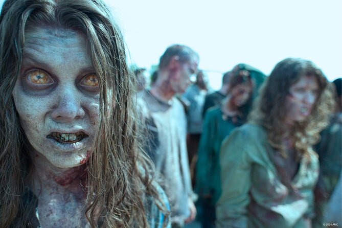 Escape Game Outdoor The Walking Dead in Pau - Surviving the Zombie Apocalypse in Paus City Streets