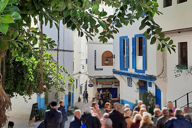 Essential Tangier excursion 1 day - Exploring Tangiers Modern City by Bus