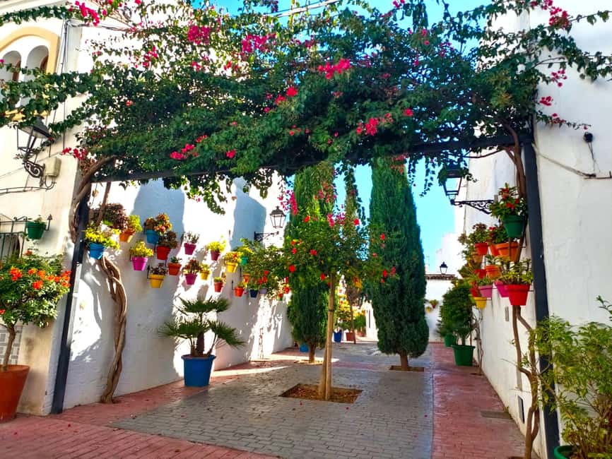 Estepona: Private Guided Tour - Exploring Estepona’s Murals and Street Art