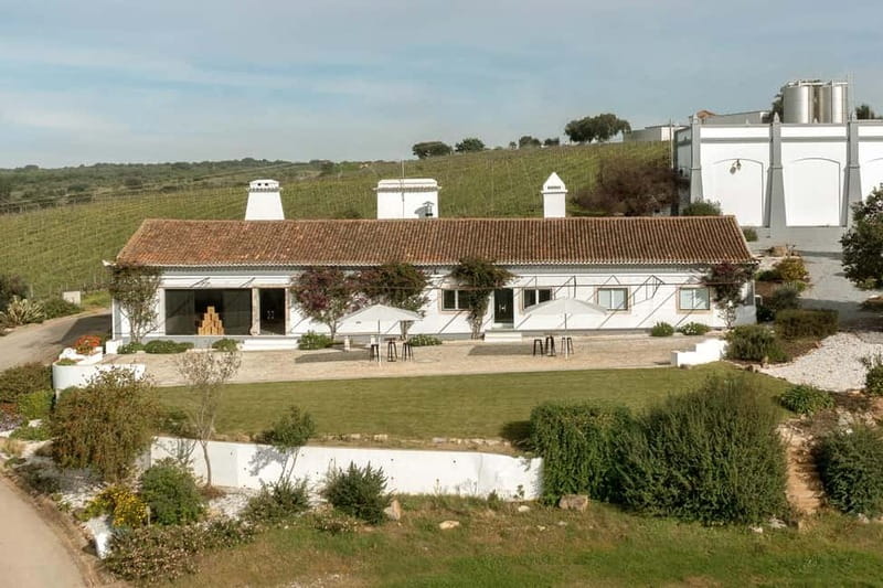 Estremoz, Alentejo, Portugal: Wine tour & Wine tasting - Modern Winery Facilities with a Classic Touch
