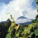 Etna and Wines Tour - Exploring Mount Etna’s Panoramic Roads and Lava Flows