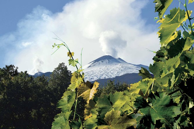 Etna and Wines Tour - Exploring Mount Etna’s Panoramic Roads and Lava Flows