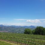 Etna Classic & Winery (day trip) - From the Craters Silvestri of Mount Etna to the Winery