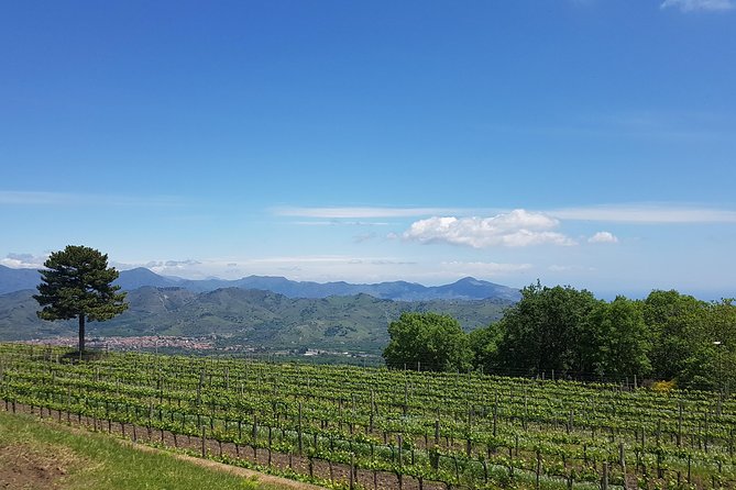 Etna Classic & Winery (day trip) - From the Craters Silvestri of Mount Etna to the Winery