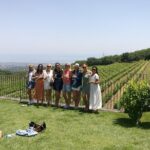 Etna Excursion and Lunch - Wine Tasting in Etna DOC Vinery - Scenic Stops and Volcano Exploration