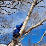 Etna Family Tour Excursion for families with children on Etna - Starting Point at Grotta dei Tre Livelli in Zafferana Etnea