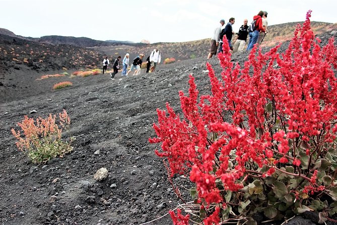 Etna Morning Trip - Exploring the Trail to 2000 Meters with a Knowledgeable Guide