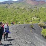 Etna, Wine and Alcantara Tour - From Taormina - Sicilian Lunch with Regional Wines