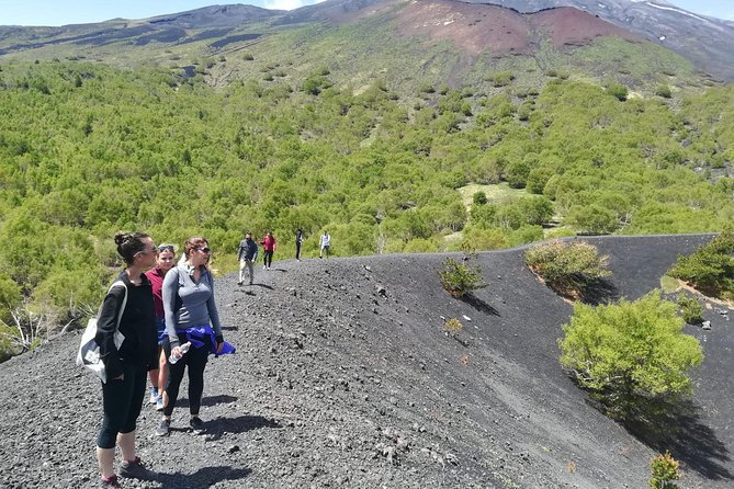 Etna, Wine and Alcantara Tour - From Taormina - Sicilian Lunch with Regional Wines