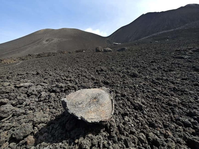 EtnaRunWalk: Hiking with GV on Europe's highest active volcano - Exploring Mount Etna’s Changing Terrain