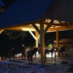 Everyday Yoga Class, Soa (Bovec) - Scenic Location in Soa Village Promises Peaceful Yoga