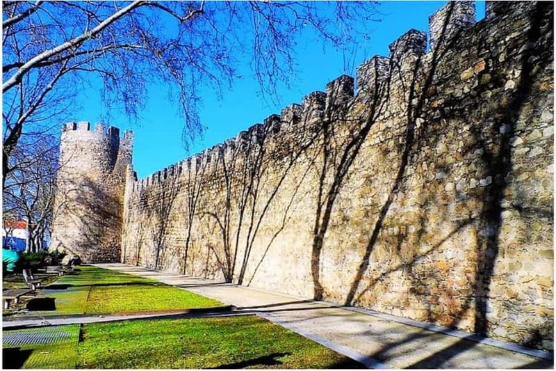 Evora Ancient City & The Alentejo Private Luxury Wine Tour - Private Luxury Transport and Personalized Service