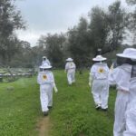 Évora or Montemor: Beekeeping, Chocolate factory, Wine tasting - Discovering Portugal’s Unique Cocoa Processing Factory