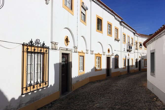 Évora Private Walking Tour with a Professional Guide - Starting Point at the Aqueduct in Évora