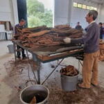 Évora & Wines: A Taste of Authentic Alentejo - Starting Point: Convenient Pickup and the Journey to Évora