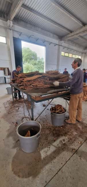 Évora & Wines: A Taste of Authentic Alentejo - Starting Point: Convenient Pickup and the Journey to Évora