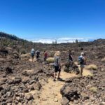 Exclusive hike on Mount Teide with a certified guide - Starting at Mirador de las Narices del Teide