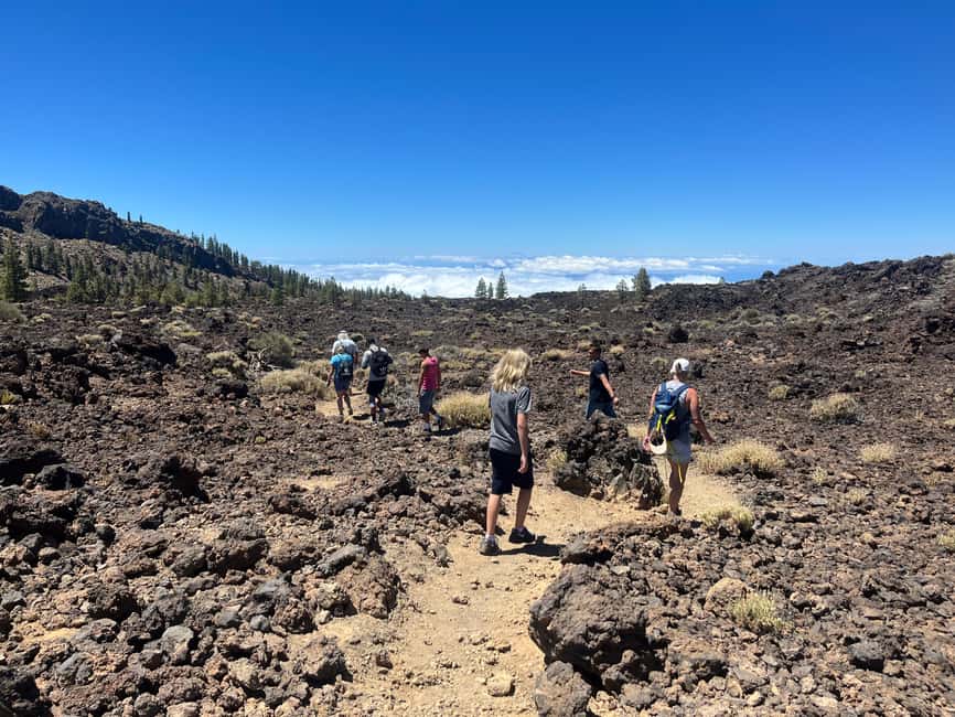 Exclusive hike on Mount Teide with a certified guide - Starting at Mirador de las Narices del Teide