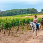 Exclusive Horseback Riding & Wine Tasting from Florence - Starting Point in Florence and Transport Logistics
