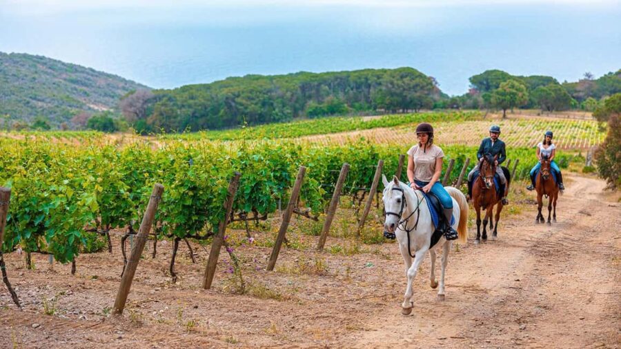 Exclusive Horseback Riding & Wine Tasting from Florence - Starting Point in Florence and Transport Logistics