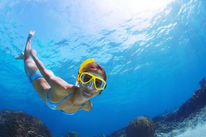 Exclusive Snorkeling Trip Guided by Marine Biology Specialist - Starting Point and Convenient Pickup at Golf del Sur