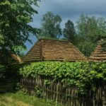 Exclusive Wine Tour in Serbia: Tastings, History & Beauty - Explore Fruka Goras Vineyards and Wineries