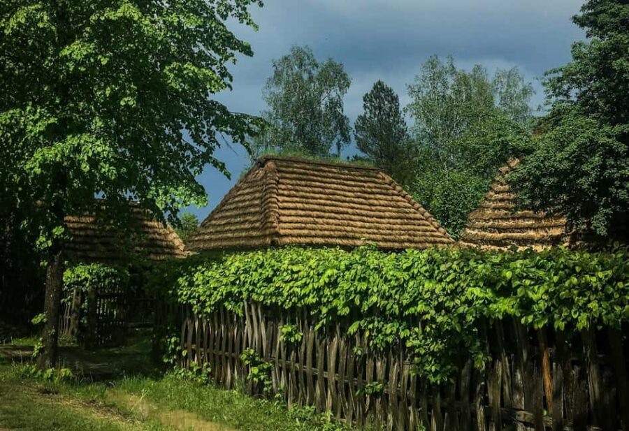 Exclusive Wine Tour in Serbia: Tastings, History & Beauty - Explore Fruka Goras Vineyards and Wineries