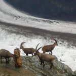 Exclusive Zermatt and Matterhorn: Small Group Tour from Bern - Exploring Zermatt’s Old Town and Alpine Charm