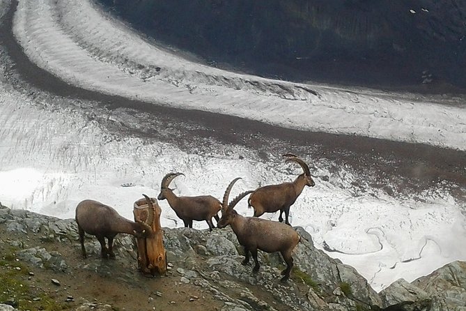 Exclusive Zermatt and Matterhorn: Small Group Tour from Bern - Exploring Zermatt’s Old Town and Alpine Charm