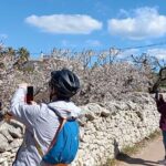 Excursion Electric Bike Villages of Apulia - Locorotondo: A Circular Village of Whitewashed Charm