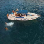 Excursion to see the whales - 3 Hours - From the Marina to the Open Atlantic: Starting Point at Lina Yacht