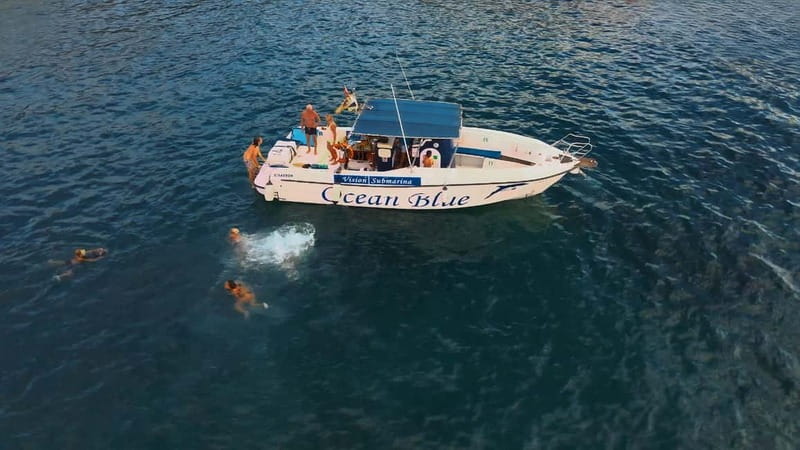 Excursion to see the whales - 3 Hours - From the Marina to the Open Atlantic: Starting Point at Lina Yacht