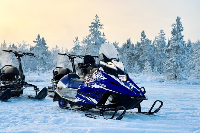 Expedition "INTO THE WILD" Safari and Lunch in Glass Igloo - Scenic Snowmobile Ride Through Lapland’s Winter Wilderness