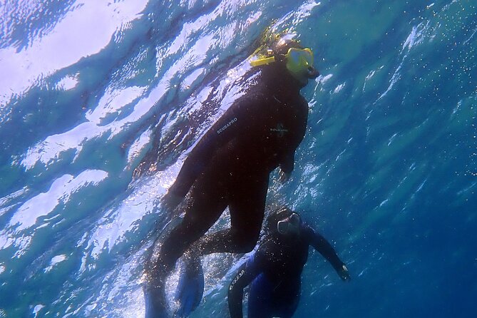 Experience 2-Hour Guided Snorkelling in Costa Teguise Lanzarote - Snorkelling Gear and Safety Included in the Tour