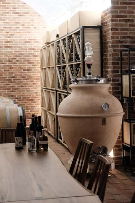 Experience Albanian Wine, daily tours from Durres - Vineyard Walk and Agricultural Practices