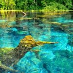 Experience Blue Eye , Lekuresi Castle and Taste Traditional Albanian Wine - From Saranda to the Historic Lekuresi Castle