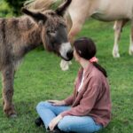 Experiential activity with horses: an experience in connection - The Unique Atmosphere of Happy Days Again in Asti
