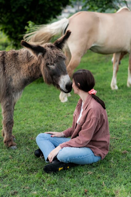 Experiential activity with horses: an experience in connection - The Unique Atmosphere of Happy Days Again in Asti