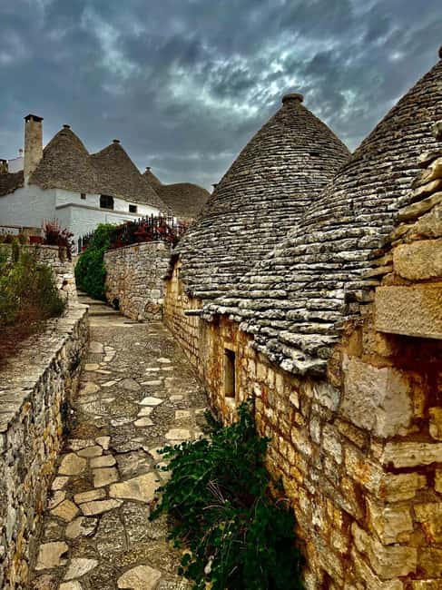 Expert Guided Visit & Tasting, Alberobello - Starting Point at the Parcheggio Bus Check-Point