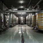 EXPLORATION - Visit of the estate, the cellars & tasting - The Guided Tour of the Semi-Gravity Cubist Cellar