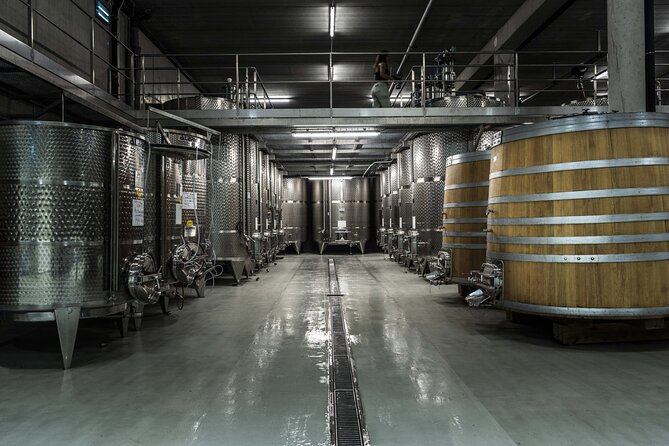 EXPLORATION - Visit of the estate, the cellars & tasting - The Guided Tour of the Semi-Gravity Cubist Cellar