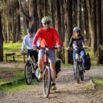 Explore Belém and Monsanto - Physical Requirements and Accessibility