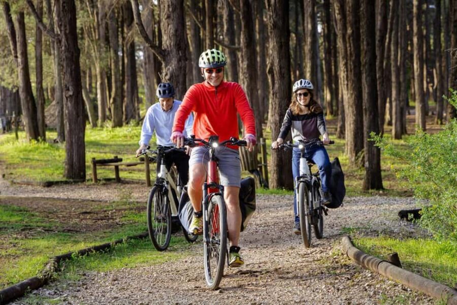 Explore Belém and Monsanto - Physical Requirements and Accessibility