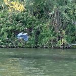 Explore Bird & Marine Wildlife private Boat Tour in English - Highlights of the Tour Route and Landmarks