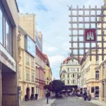 Explore Bratislava with a Local: Private Tour from Vienna - Convenient Pickup from Vienna Hotels