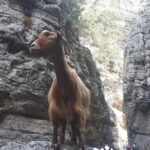 Explore IMBROS GORGE. - Imbros Gorge: A Scenic Alternative to Samaria