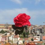Explore Portos Soul: Walking Tour & Clérigos Church - Discovering Porto’s UNESCO World Heritage Historic Center